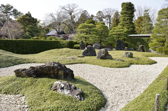 2014jyounanguusidareume228