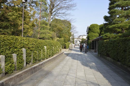 2014jyounanguusidareume232