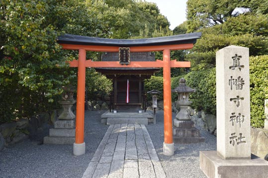 2014jyounanguusidareume234