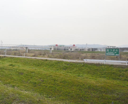 2014jyounanguusidareume248