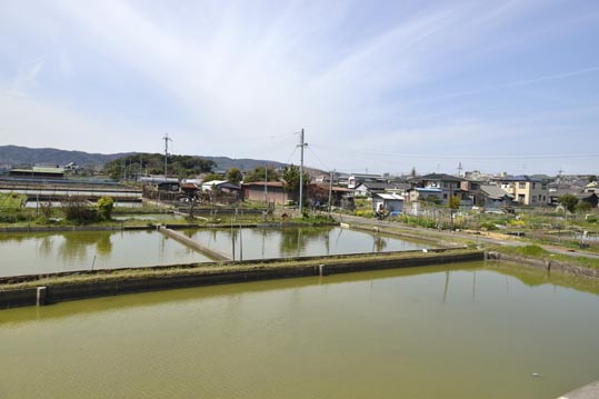 2014kooriyamajyou004