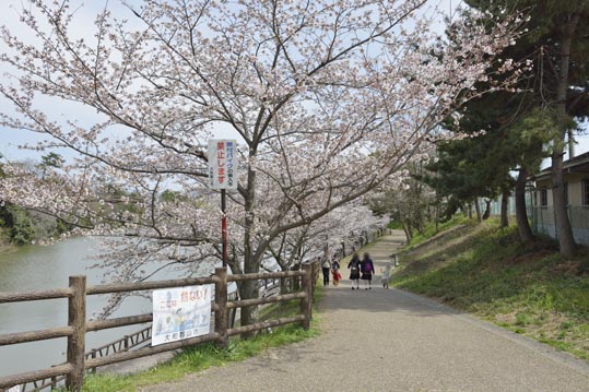 2014kooriyamajyou028