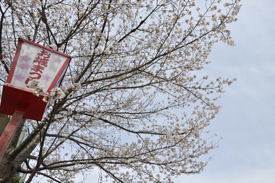 2014kooriyamajyou041