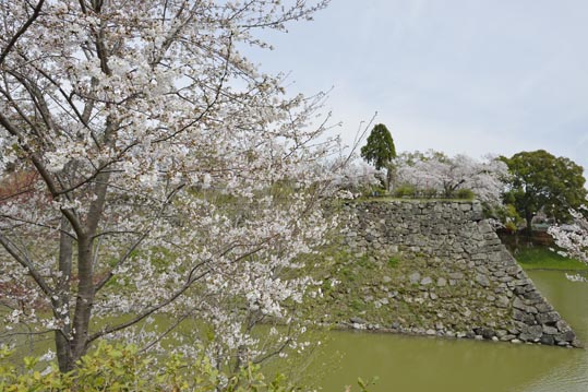 2014kooriyamajyou047