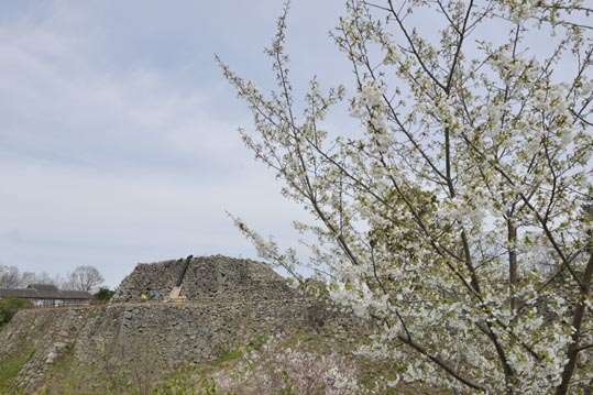 2014kooriyamajyou052