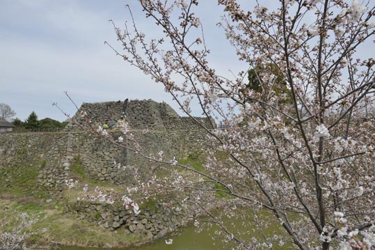 2014kooriyamajyou054