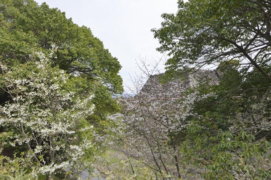 2014kooriyamajyou060