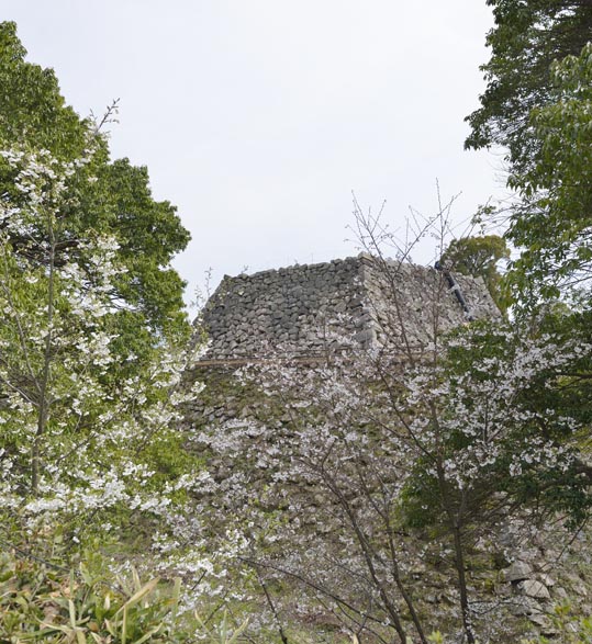 2014kooriyamajyou061