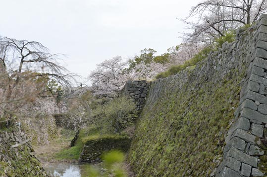 2014kooriyamajyou078