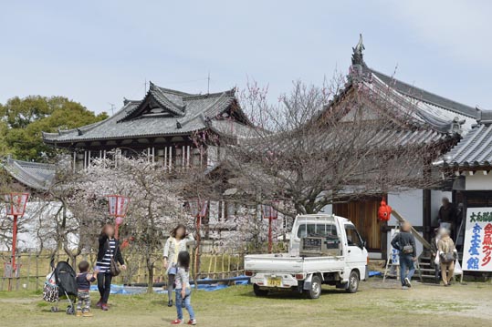 2014kooriyamajyou092