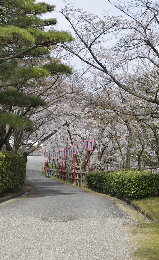 2014kooriyamajyou100