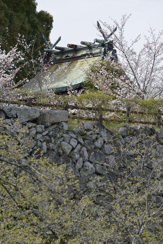 2014kooriyamajyou105