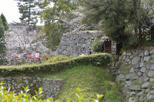 2014kooriyamajyou107