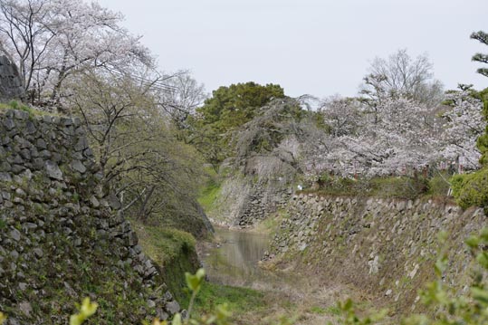 2014kooriyamajyou110