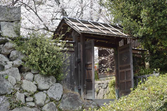 2014kooriyamajyou112