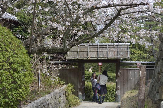 2014kooriyamajyou114