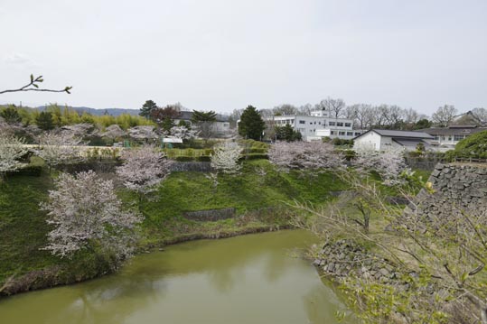 2014kooriyamajyou121