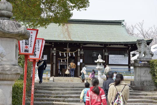 2014kooriyamajyou123