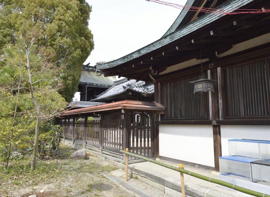 2014kooriyamajyou128