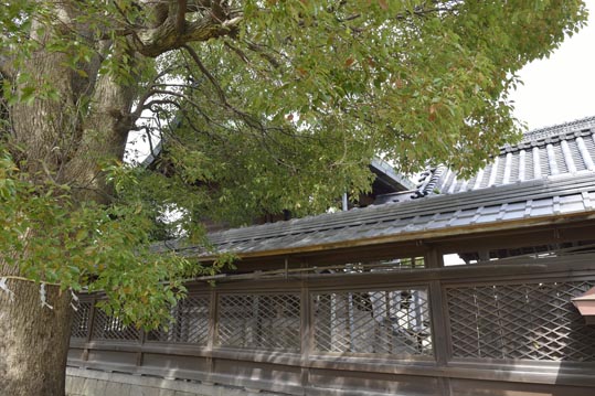 2014kooriyamajyou129