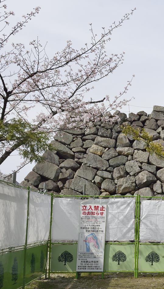 2014kooriyamajyou132