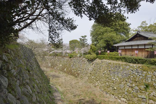 2014kooriyamajyou134