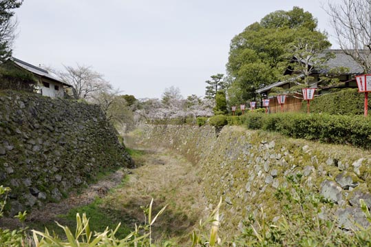 2014kooriyamajyou136