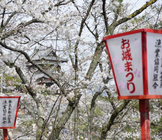 2014kooriyamajyou139