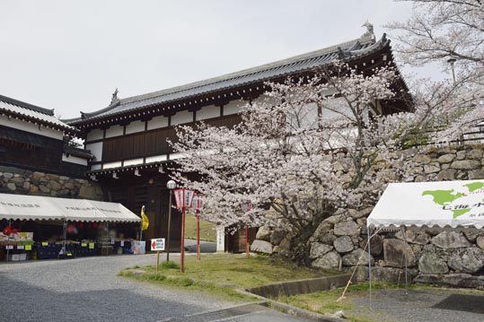 2014kooriyamajyou146