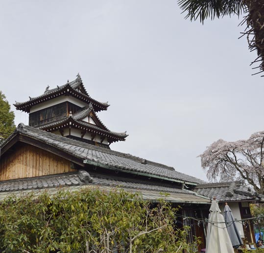 2014kooriyamajyou149