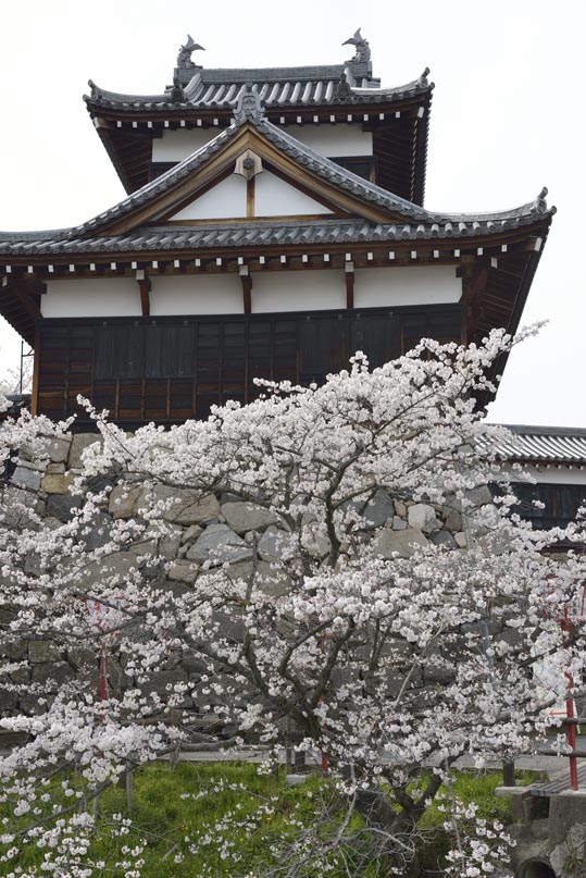 2014kooriyamajyou152