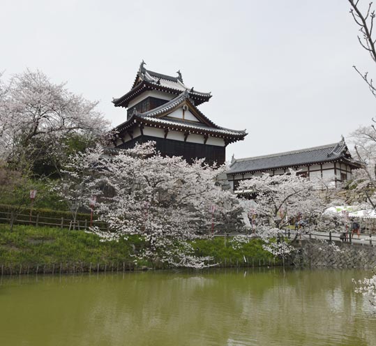 2014kooriyamajyou157