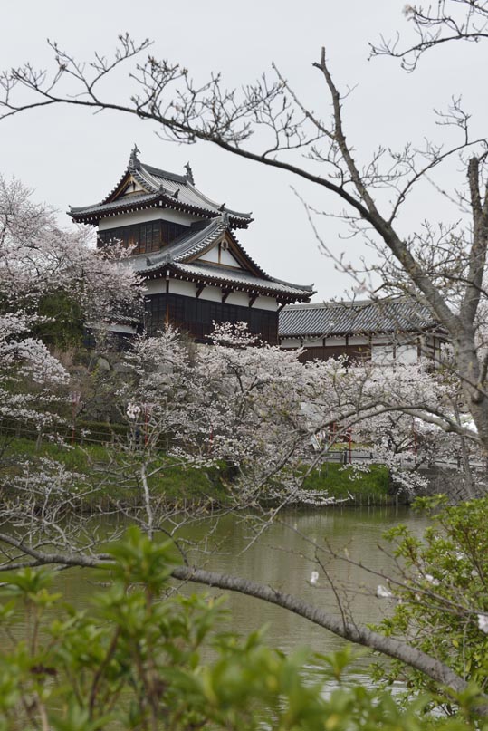 2014kooriyamajyou161