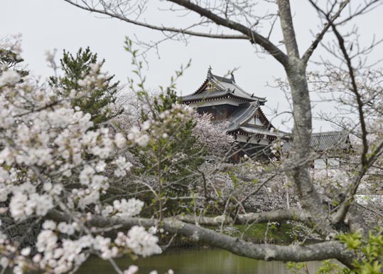 2014kooriyamajyou162