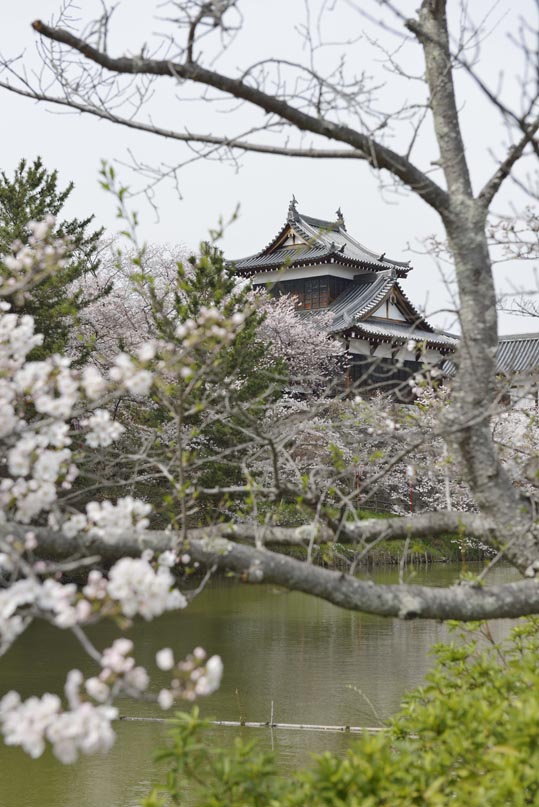 2014kooriyamajyou163