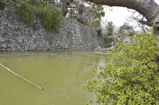 2014kooriyamajyou164