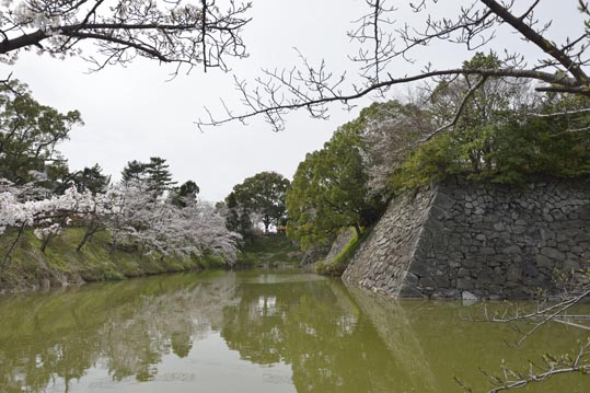 2014kooriyamajyou167