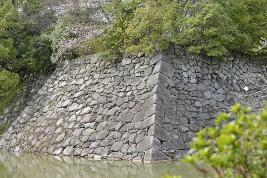 2014kooriyamajyou170