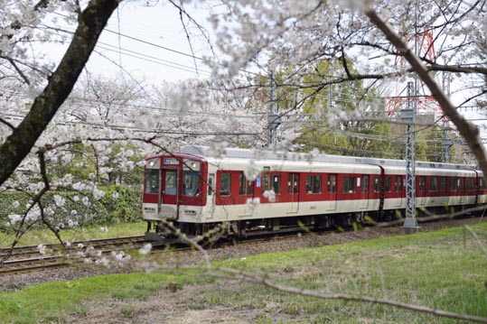 2014kooriyamajyou178