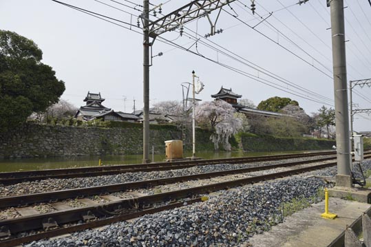 2014kooriyamajyou183