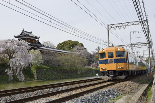 2014kooriyamajyou199