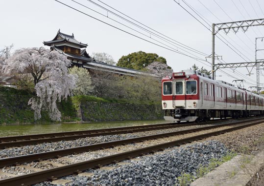 2014kooriyamajyou201
