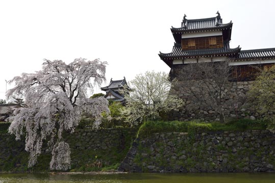 2014kooriyamajyou205