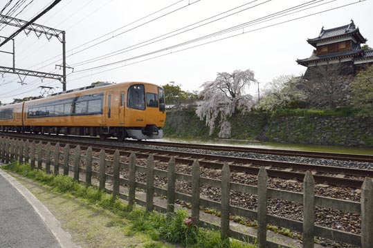 2014kooriyamajyou207