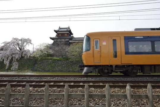 2014kooriyamajyou208