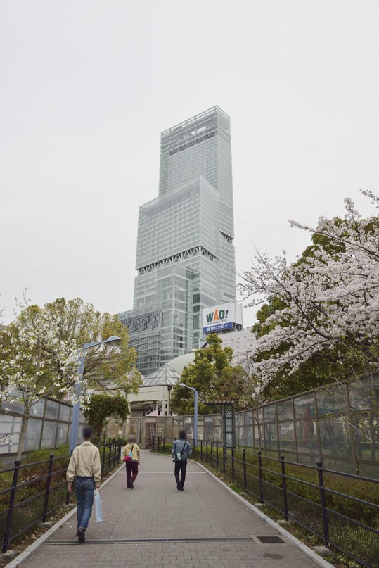 2014kooriyamajyou213