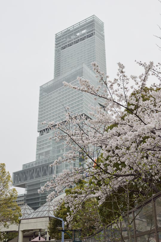 2014kooriyamajyou214