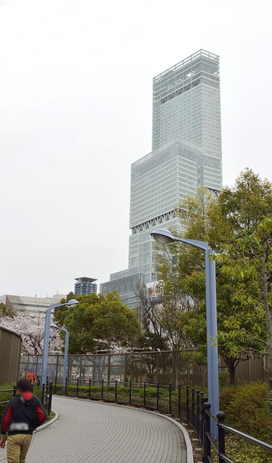 2014kooriyamajyou216