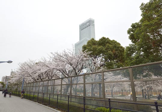 2014kooriyamajyou217