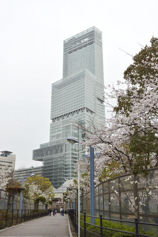 2014kooriyamajyou221